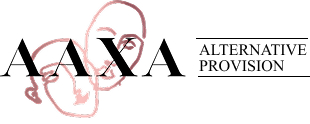 Copy of AAXA AP Black